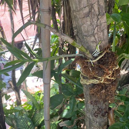 Owl House Piedades Exterior foto